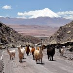 ATACAMA-WÜSTE & SALAR DE UYUNI