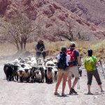 TREKKING IN SAN PEDRO DE ATACAMA