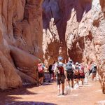 TREKKING IN SAN PEDRO DE ATACAMA