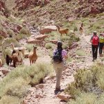 TREKKING IN SAN PEDRO DE ATACAMA