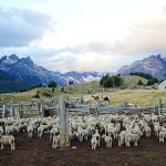 WANDERN IM HERZEN PATAGONIENS