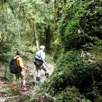 WANDERN IM HERZEN PATAGONIENS