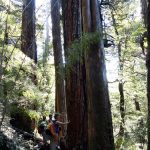 WANDERN IM HERZEN PATAGONIENS