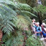 WANDERN IM HERZEN PATAGONIENS