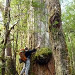 WANDERN IM HERZEN PATAGONIENS