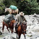 WANDERN IM HERZEN PATAGONIENS