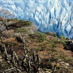 WANDERN IM HERZEN PATAGONIENS