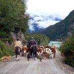 WANDERN IM HERZEN PATAGONIENS