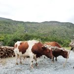 WANDERN IM HERZEN PATAGONIENS