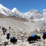 EVEREST BASE CAMP